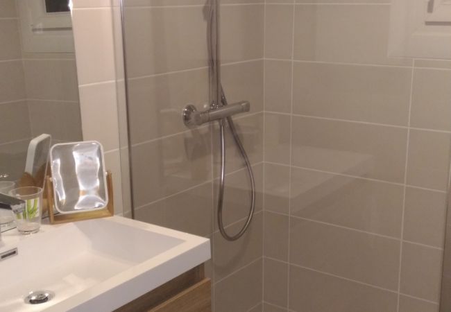 Studio in Les Carroz d'Arâches - CA210 Studio 4 Pers centre des Carroz Studio in Les Carroz d'Arâches - CA210 Studio 4 Pers centre des Carroz