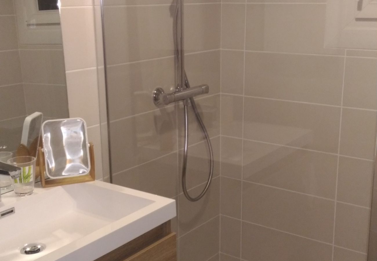 Studio in Les Carroz d'Arâches - CA210 Studio 4 Pers centre des Carroz Studio in Les Carroz d'Arâches - CA210 Studio 4 Pers centre des Carroz