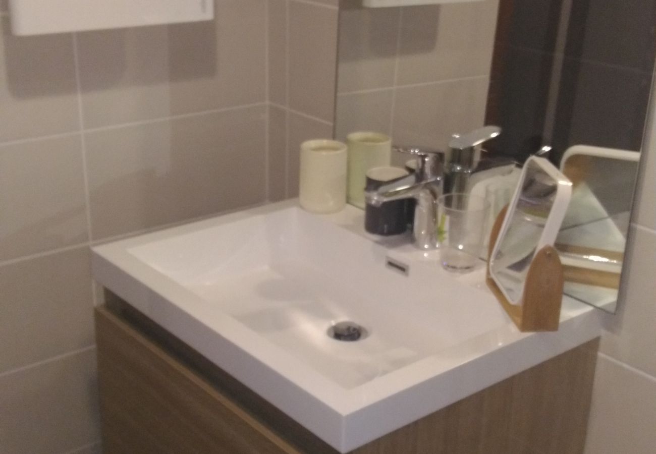 Studio in Les Carroz d'Arâches - CA210 Studio 4 Pers centre des Carroz Studio in Les Carroz d'Arâches - CA210 Studio 4 Pers centre des Carroz