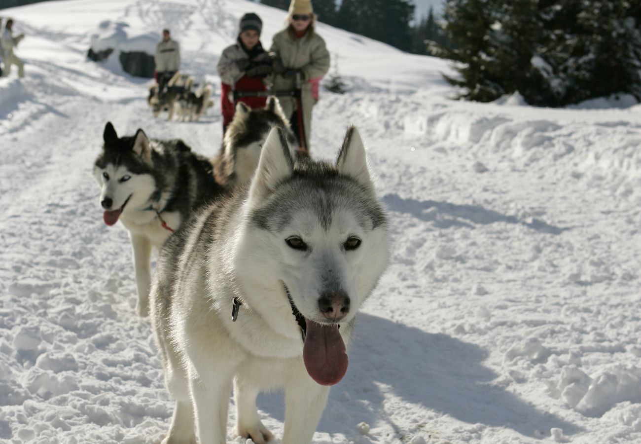 Studio in Les Carroz d'Arâches - CA228 - Studio  4/5 Pers centre des Carroz Studio in Les Carroz d'Arâches - CA228 - Studio  4/5 Pers centre des Carroz