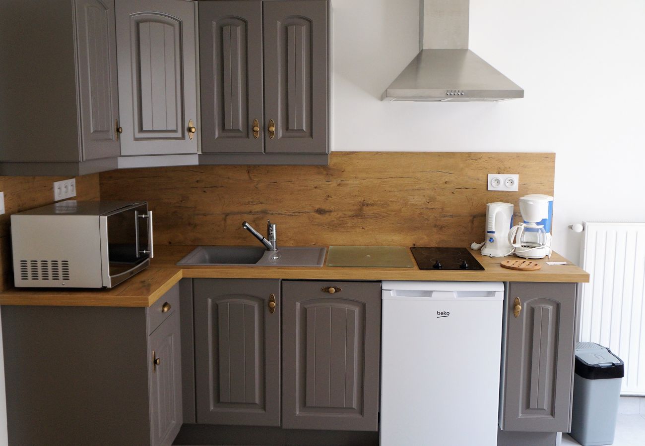 Studio in Les Carroz d'Arâches - VAR50 - Studio cabine 4 Pers centre des Carroz Studio in Les Carroz d'Arâches - VAR50 - Studio cabine 4 Pers centre des Carroz