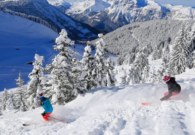 Studio in Les Carroz d'Arâches - CAL02 -  Studio 4 Pers centre des Carroz Studio in Les Carroz d'Arâches - CAL02 -  Studio 4 Pers centre des Carroz