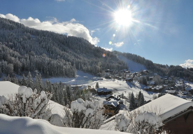 Apartment in Les Carroz d'Arâches - CH1CA - 2 Pièces Coin montagne 6 pers aux Carroz Apartment in Les Carroz d'Arâches - CH1CA - 2 Pièces Coin montagne 6 pers aux Carroz