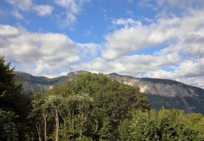 Chalet in Les Carroz d'Arâches - CH719 - Chalet 10 Pers aux Carroz Chalet in Les Carroz d'Arâches - CH719 - Chalet 10 Pers aux Carroz