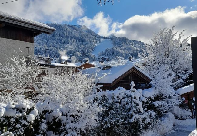 Studio in Les Carroz d'Arâches - CA111 - Studio 4 pers centre des Carroz Studio in Les Carroz d'Arâches - CA111 - Studio 4 pers centre des Carroz