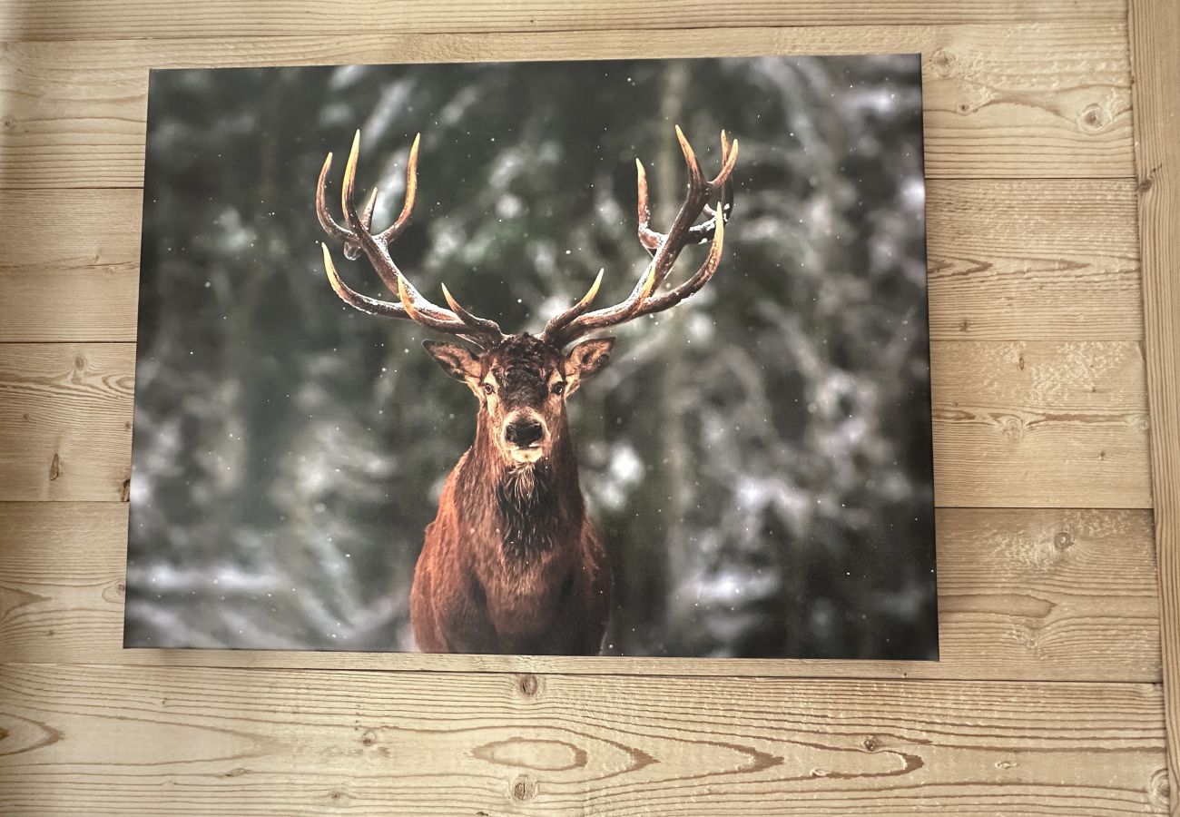 Studio in Les Carroz d'Arâches - CA111 - Studio 4 pers centre des Carroz Studio in Les Carroz d'Arâches - CA111 - Studio 4 pers centre des Carroz