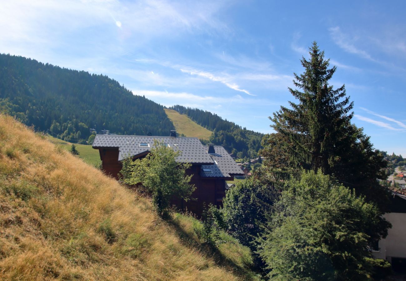 Apartment in Les Carroz d'Arâches - GV211 - 2 Pièces 6 Pers centre station