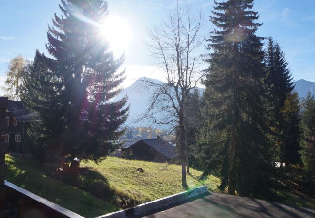 Studio in Les Carroz d'Arâches - NAN01 - Studio 4 Pers Télécabine Studio in Les Carroz d'Arâches - NAN01 - Studio 4 Pers Télécabine