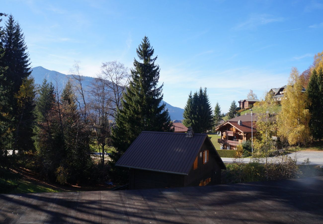 Studio in Les Carroz d'Arâches - NAN01 - Studio 4 Pers Télécabine