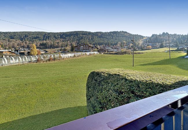 Studio in Les Carroz d'Arâches - THA1B - Studio 4/5 Pers Pied de Pistes Studio in Les Carroz d'Arâches - THA1B - Studio 4/5 Pers Pied de Pistes