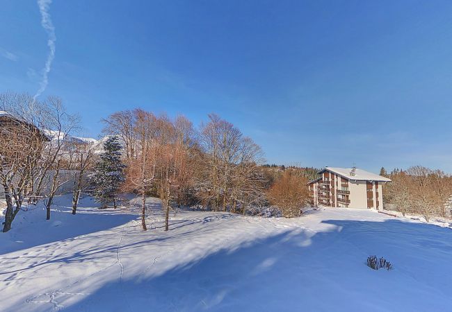 Studio in Les Carroz d'Arâches - OEI20 - Studio 4/5 Pers proche centre Carroz Studio in Les Carroz d'Arâches - OEI20 - Studio 4/5 Pers proche centre Carroz