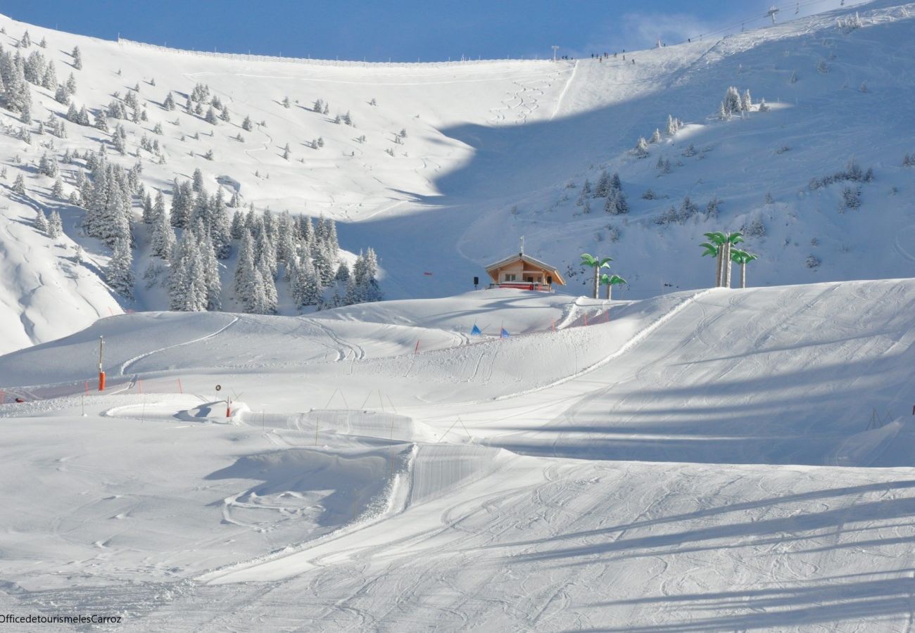 Apartment in Les Carroz d'Arâches - OB219 - 4 pièces Duplex 6 personnes proche pistes Apartment in Les Carroz d'Arâches - OB219 - 4 pièces Duplex 6 personnes proche pistes