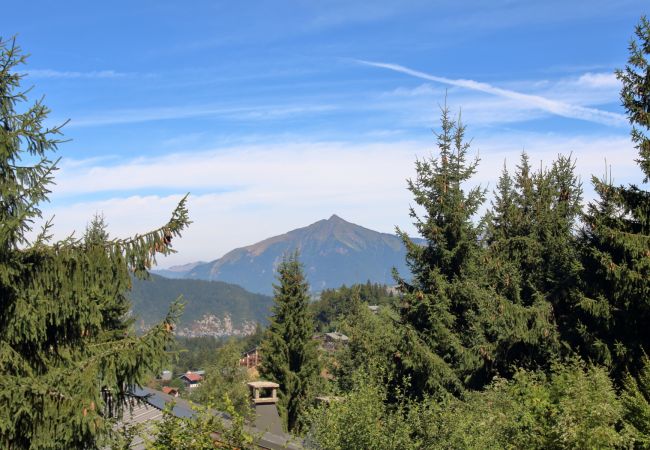 Studio à Les Carroz d'Arâches - BA112 Studio 4 Pers Pied de pistes Carroz Studio à Les Carroz d'Arâches - BA112 Studio 4 Pers Pied de pistes Carroz