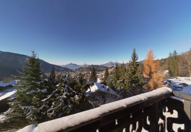 Appartement à Les Carroz d'Arâches - BA331 Appartement 4 Pers Pied de pistes Carroz Appartement à Les Carroz d'Arâches - BA331 Appartement 4 Pers Pied de pistes Carroz