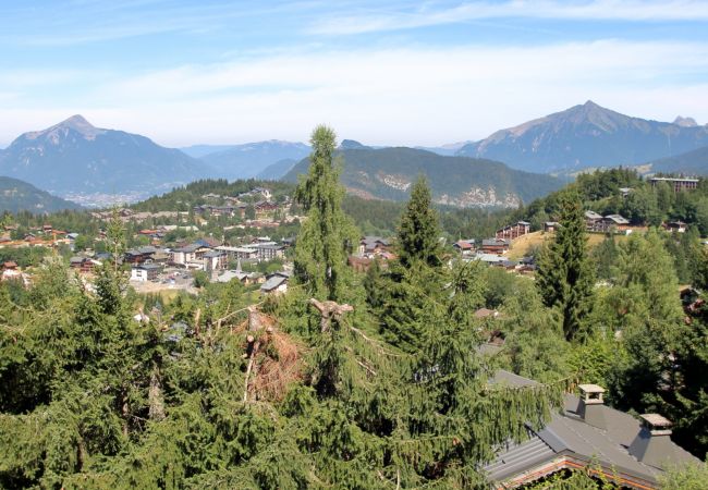 Appartement à Les Carroz d'Arâches - BA332 Appartement 4/6 Pers Pied de pistes Carroz Appartement à Les Carroz d'Arâches - BA332 Appartement 4/6 Pers Pied de pistes Carroz