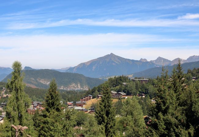 Appartement à Les Carroz d'Arâches - BA332 Appartement 4/6 Pers Pied de pistes Carroz Appartement à Les Carroz d'Arâches - BA332 Appartement 4/6 Pers Pied de pistes Carroz