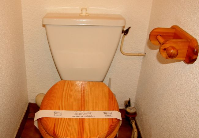 Studio à Les Carroz d'Arâches - CA228 - Studio  4/5 Pers centre des Carroz Studio à Les Carroz d'Arâches - CA228 - Studio  4/5 Pers centre des Carroz