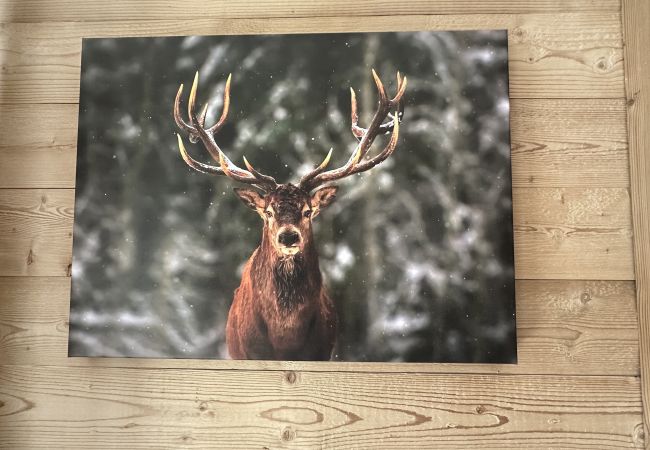 Studio à Les Carroz d'Arâches - CA111 - Studio 4 pers centre des Carroz Studio à Les Carroz d'Arâches - CA111 - Studio 4 pers centre des Carroz