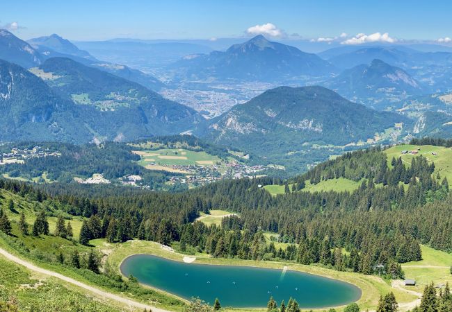 Appartement à Les Carroz d'Arâches - GCD303- 4 pièces 8 pers pieds de pistes Appartement à Les Carroz d'Arâches - GCD303- 4 pièces 8 pers pieds de pistes