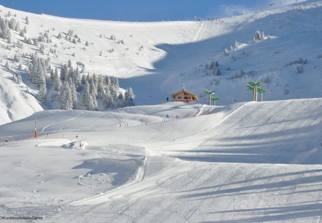 Studio à Les Carroz d'Arâches - GC462 Studio coin montagne proximité skibus Studio à Les Carroz d'Arâches - GC462 Studio coin montagne proximité skibus
