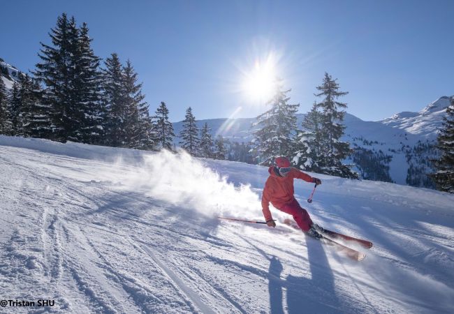 Studio à Les Carroz d'Arâches - GC462 Studio coin montagne proximité skibus Studio à Les Carroz d'Arâches - GC462 Studio coin montagne proximité skibus