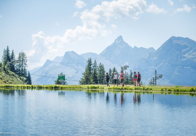 Appartement à Les Carroz d'Arâches - MOU1F - 3 pièces 6 pers. centre village Appartement à Les Carroz d'Arâches - MOU1F - 3 pièces 6 pers. centre village